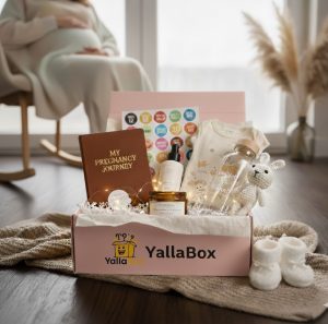 BOX design-01 صندوق الحامل